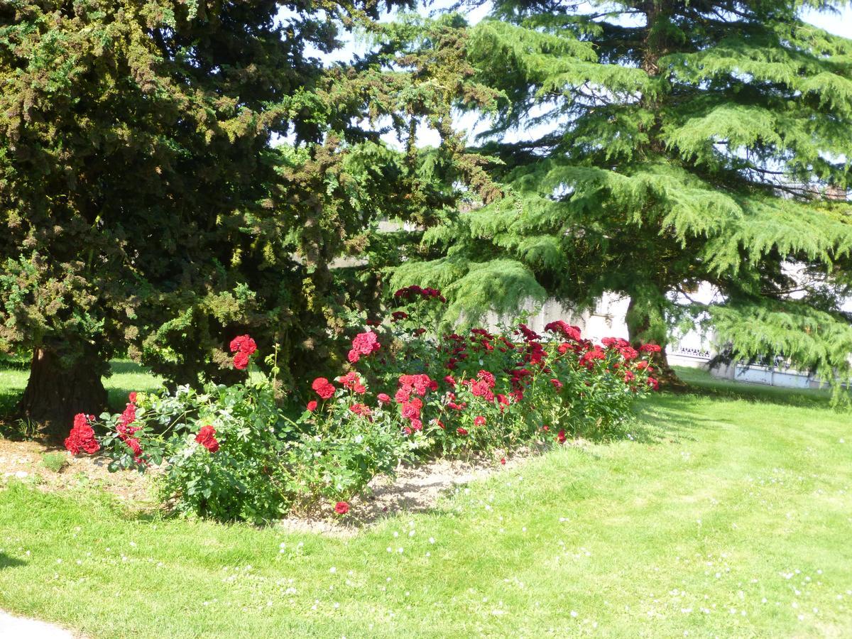 Etape Zen Illiers-Combray Exterior foto